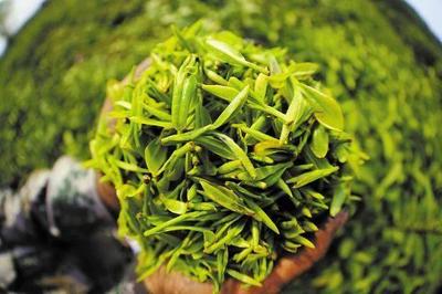 泉邊|&ldquo;泉祥&rdquo;當(dāng)年曾被稱為孟洛川的&ldquo;茶葉帝國&rdquo;