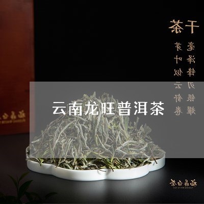 云南普洱茶科普 從古樹茶園到現(xiàn)代收購體系 - 2023年最新進(jìn)展