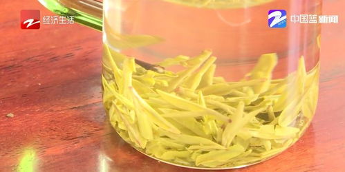 杭州茶農(nóng)憂心忡忡 兩大因素疊加，今年春茶銷售或成困局